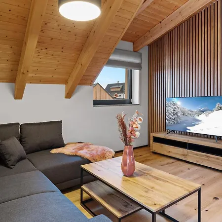 Apartament Cista Černý Důl